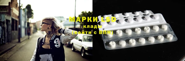 индика Алзамай
